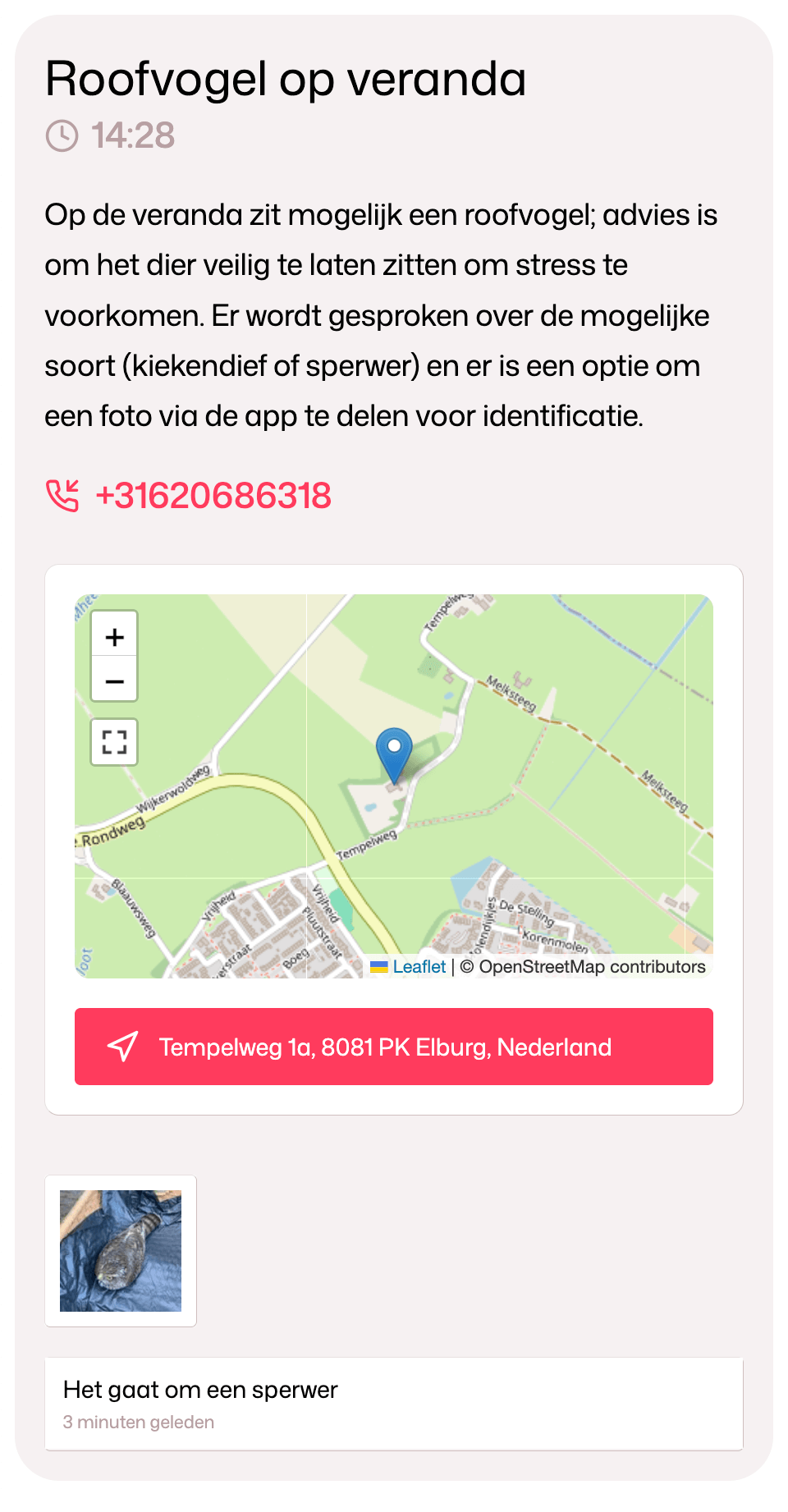 Mobiele chauffeur weergave